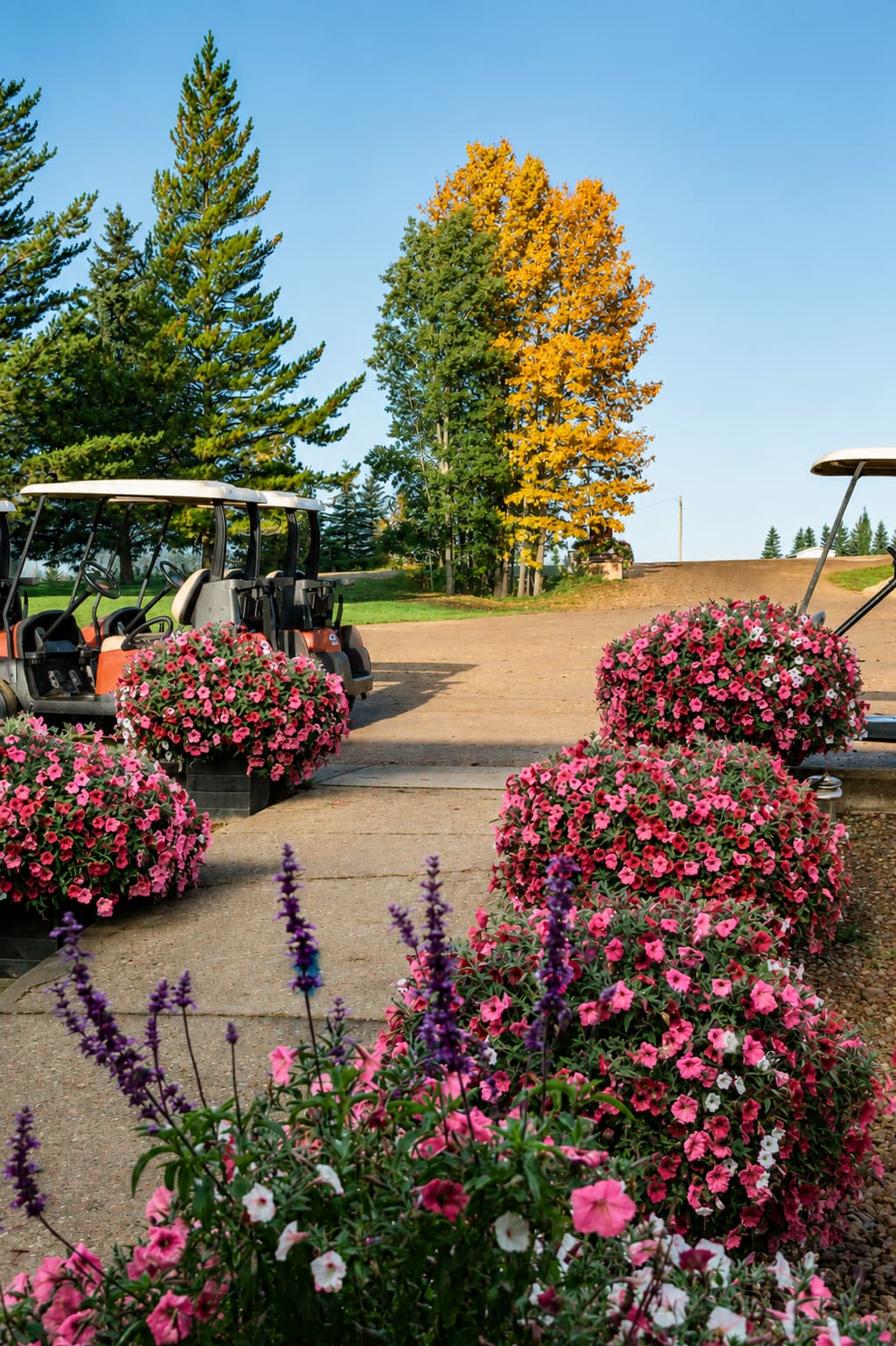 Well-maintained fairway at Dorchester Ranch