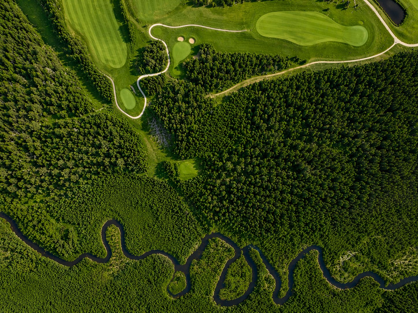 Aerial view of course