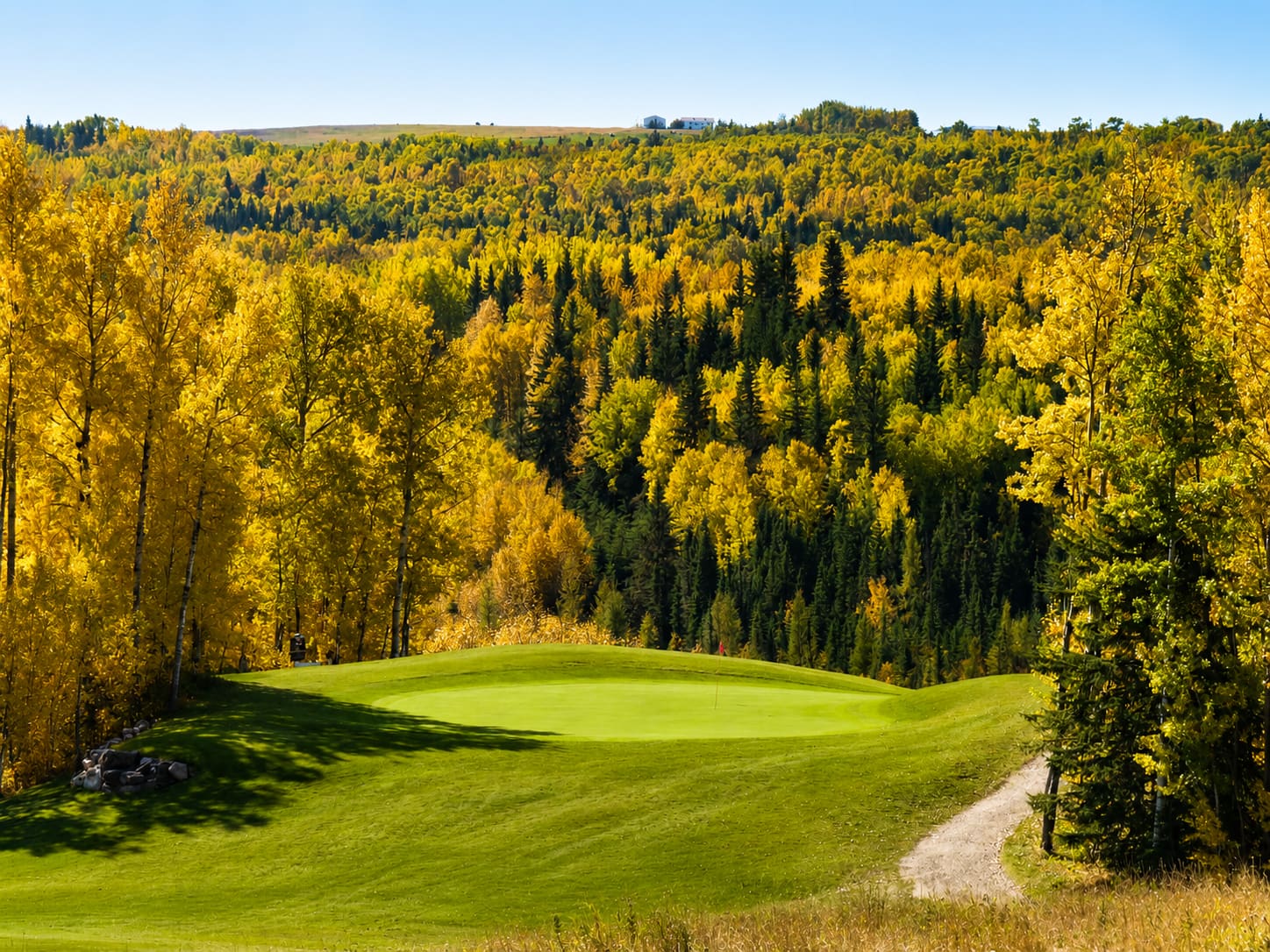 Elevated tee box