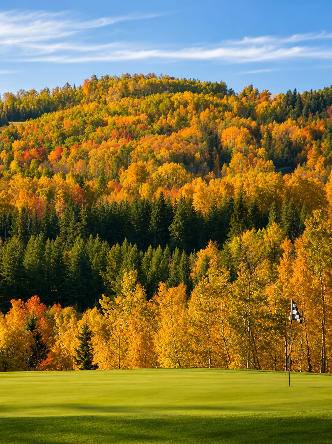 Fall colours on course