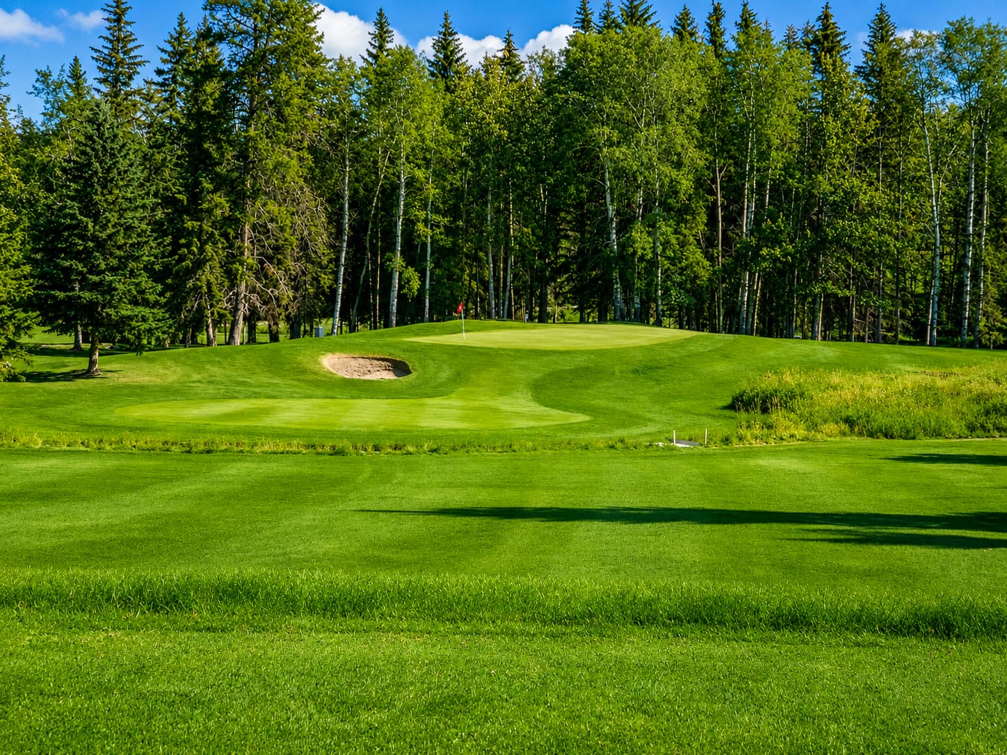 Fairway through trees