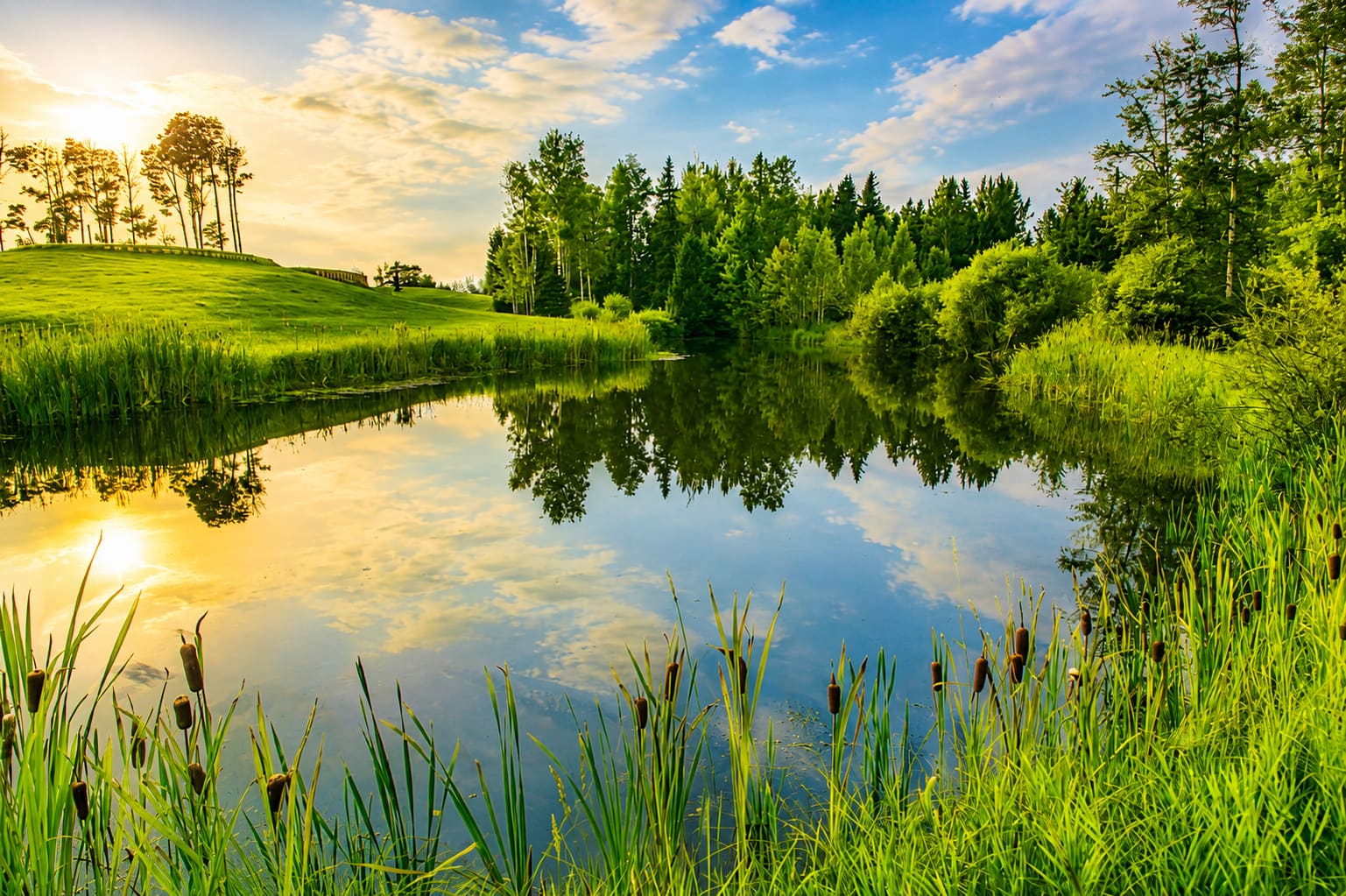 Natural setting at Dorchester Ranch